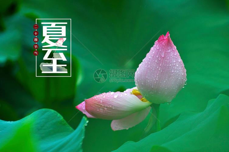 夏至（二十四节气之第10）诗词八首‖文/杨修志（图4）