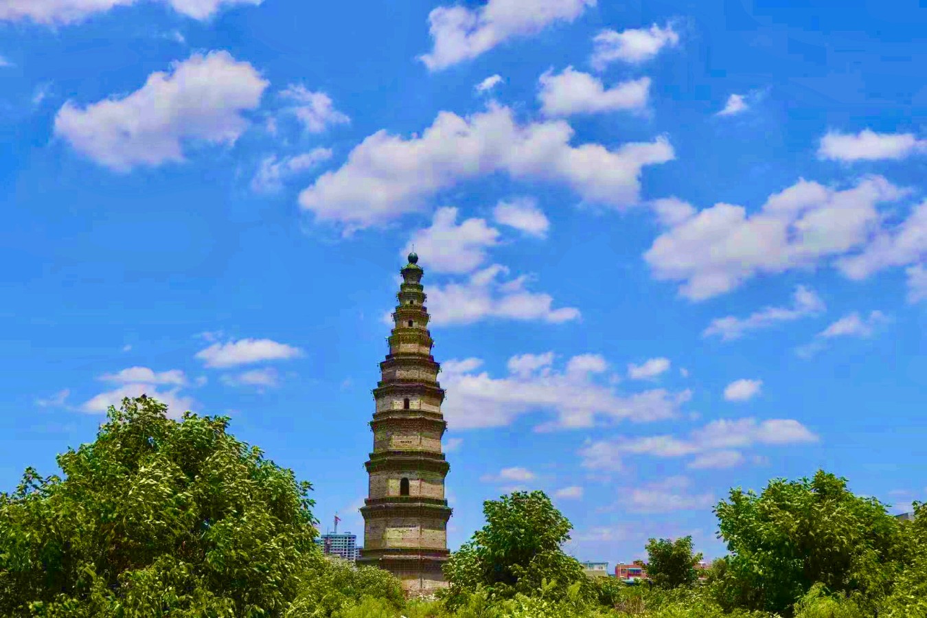 大美南阳赋(组合)乔新彦(河南)(图22)