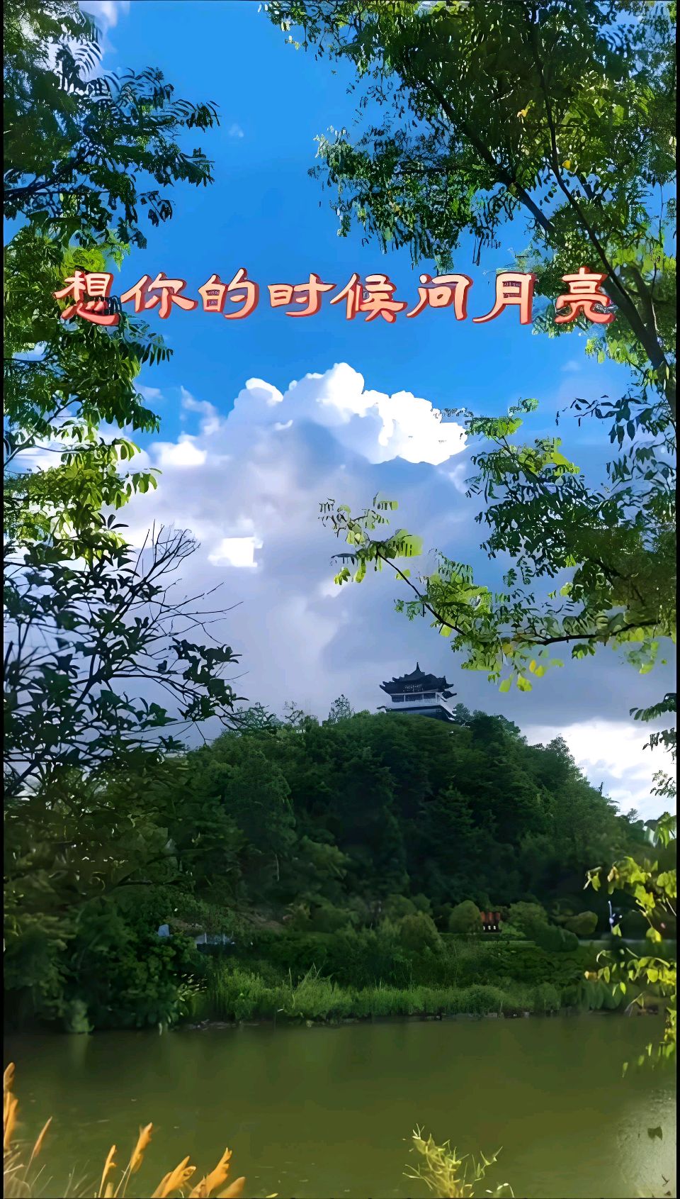 中华红旗国际诗社~北京头条~想你的时候看月亮:作者/雨下罗加:朗诵/边城（图6）