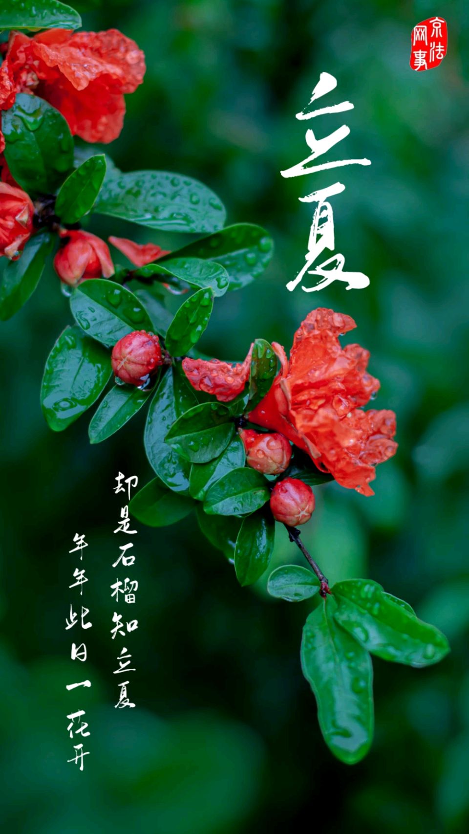 【老丫文苑】鲍团利//舒心//（陕西）（图5）