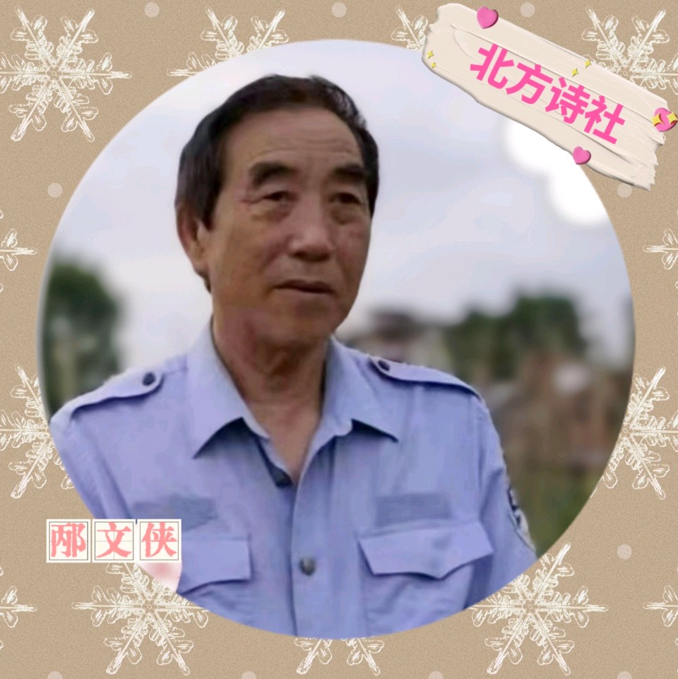 【东林北方诗社】隆重推介邴文侠《输入密码的酒》编辑美琪‖主播星玉‖音审美琪‖刊头淘淘‖总第6100期（图5）