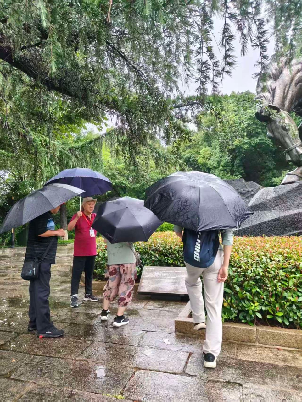 雨游蛇山｜周智敏（黄鹤楼诗词讲解志愿者）（图3）