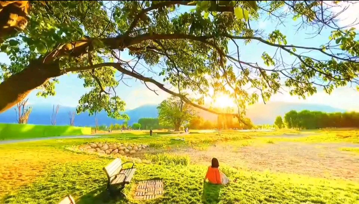 【都市头条向幸福出发编辑部】第16091期 夏至节寄怀 文 如月 主播 彭芳（图2）