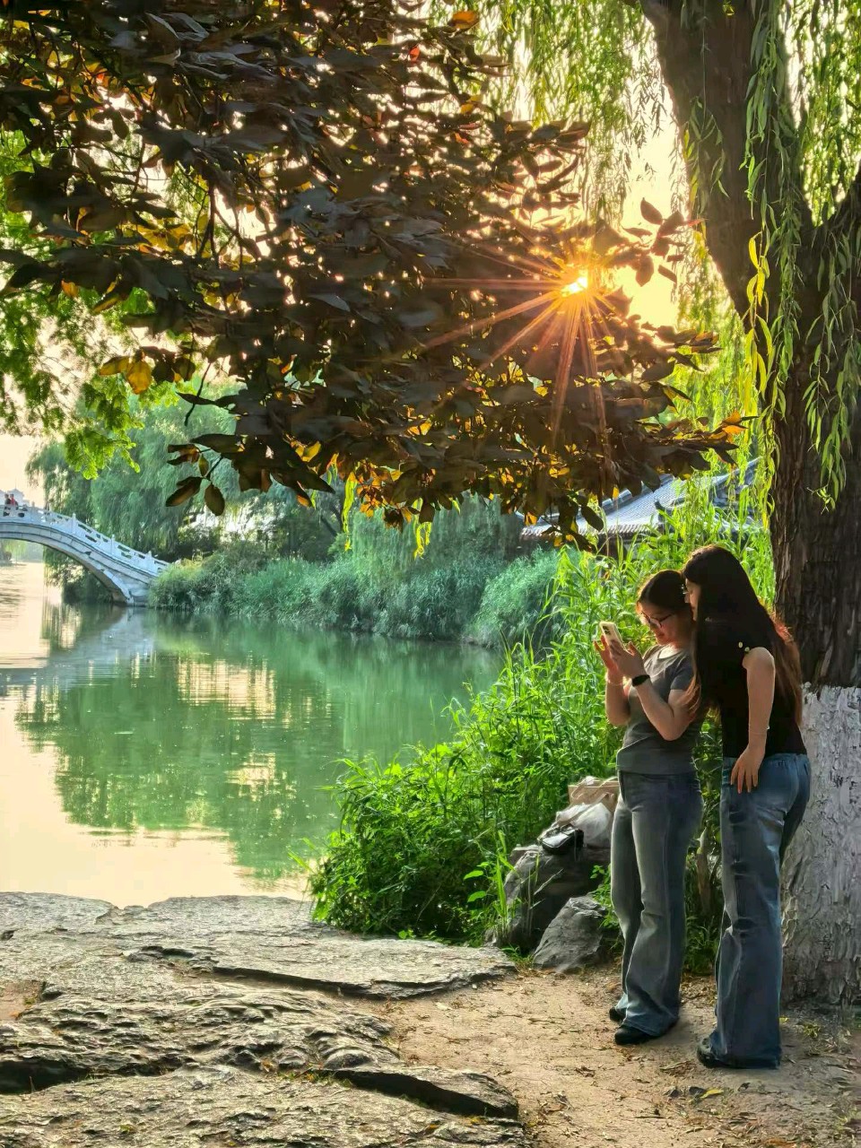 傍晚的色调（图9）