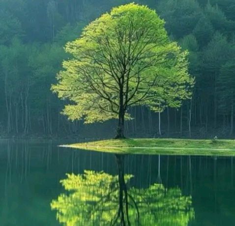 1569天木雨露：逻辑的本质（图8）