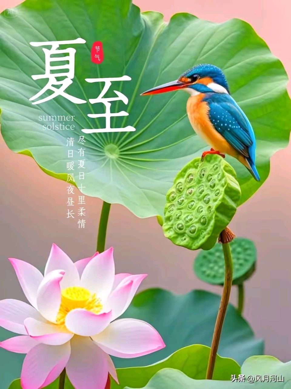 【都市头条向幸福出发编辑部】第16097期 独爱长夏 文 如月 主播 增清（图2）