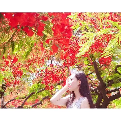 【北京头条】姜文鹏诗歌专辑027期（图4）
