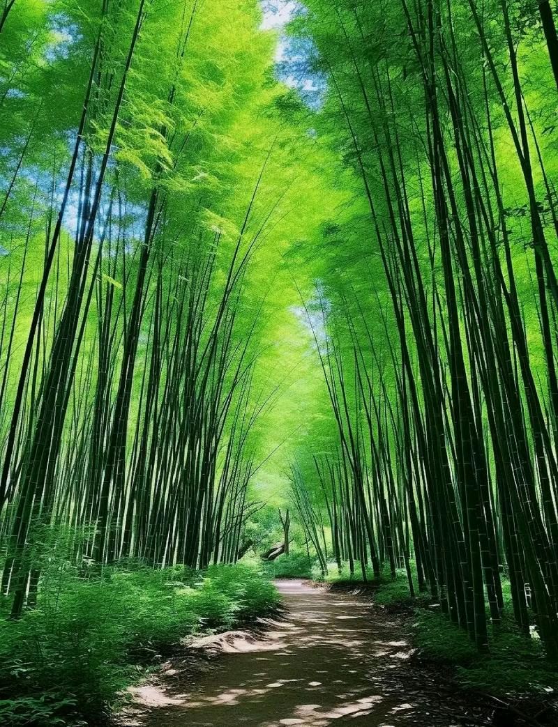 三清铭～赵景阳（河北）（图12）