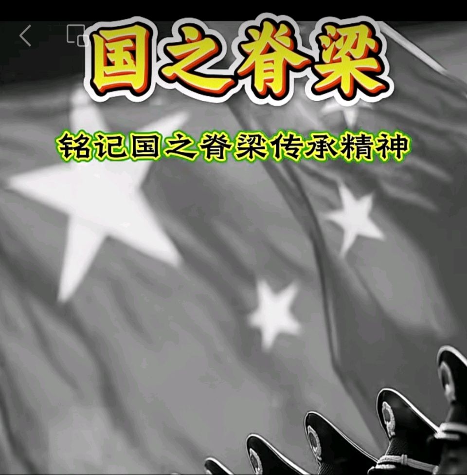 读《国之脊梁》感怀-文/罗奕梅-西银/北京头条（图2）