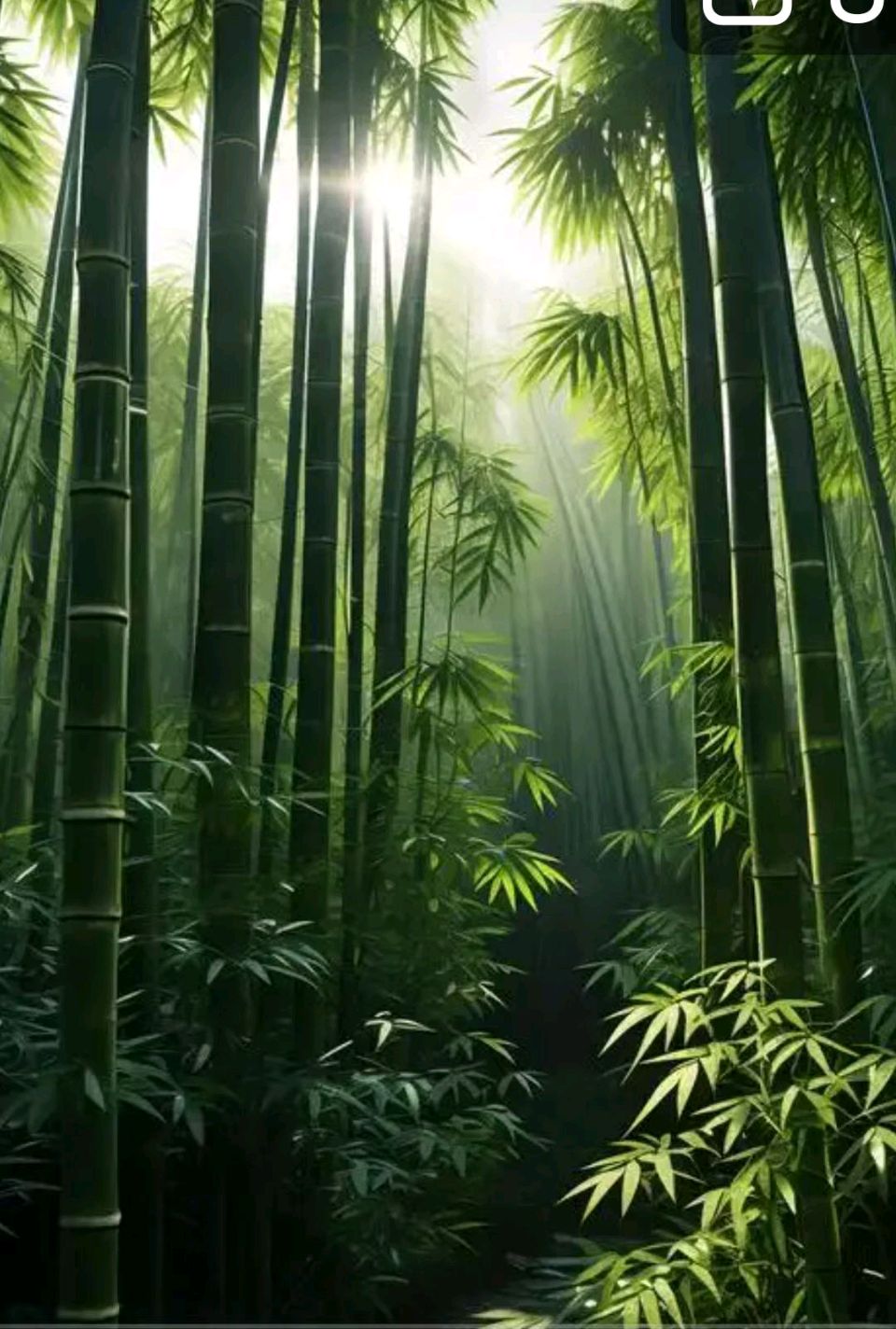【北京头条】王楼诗歌专辑060期（图4）
