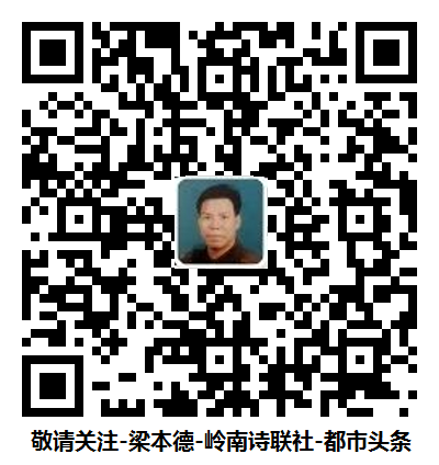 我的都市头条 我的都市头条