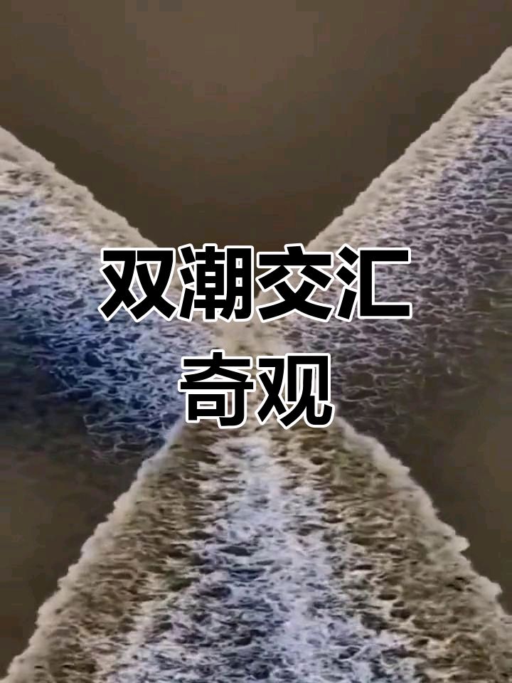 钱江双潮咏～李宣财（福建）（图17）