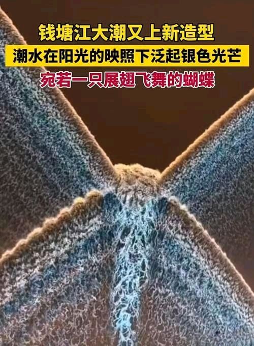 钱江双潮咏～李宣财（福建）（图23）