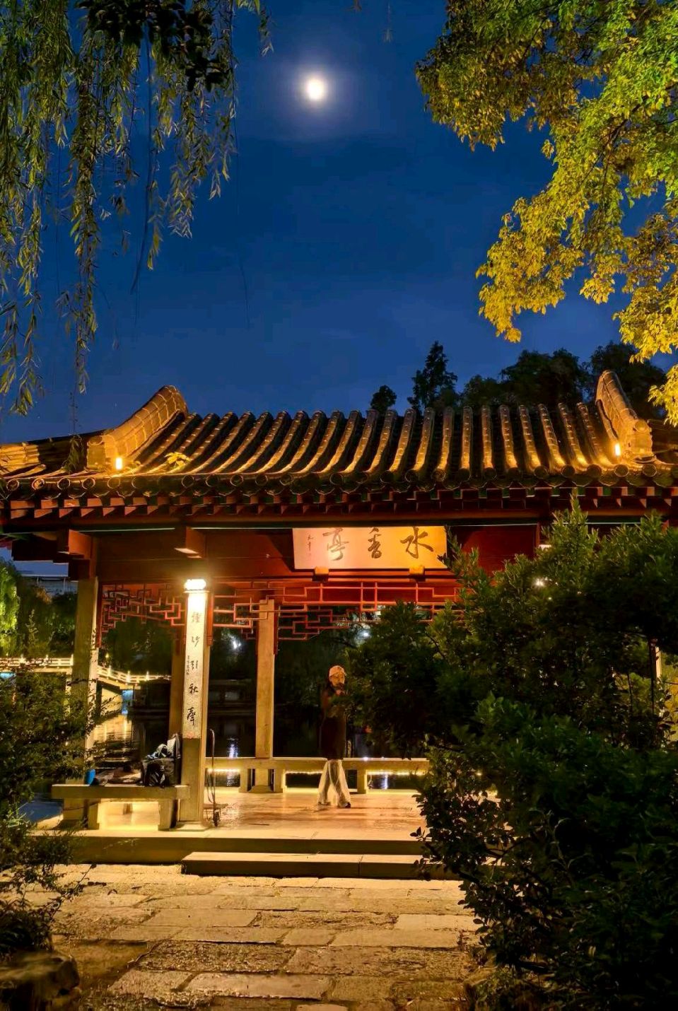 明湖夜色美（图6）