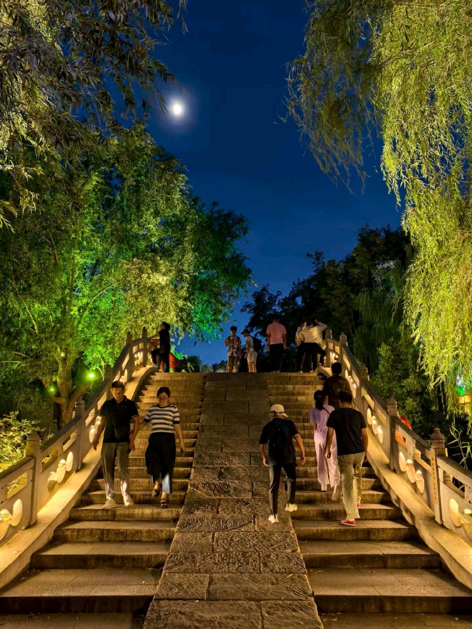 明湖夜色美（图7）