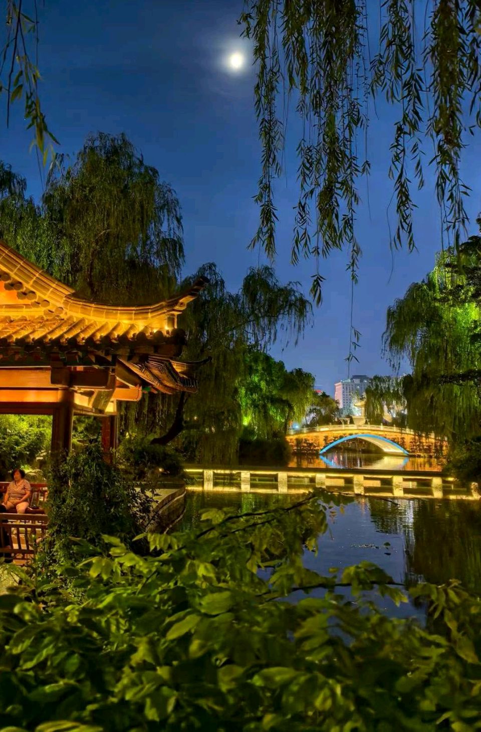 明湖夜色美（图5）
