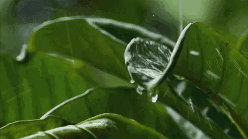 微型散文诗《雨落淮安》（图3）
