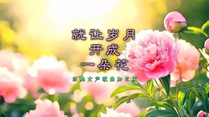 《让岁月开成一朵花》作者：碑林路人 ＆诵读：阿莲（图2）