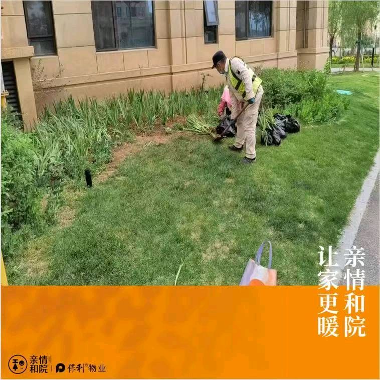 保利物业绿植补种随感金夜（兰州）（图3）