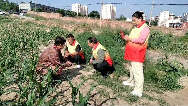 田间走访察实情 志愿助力话惠农（图3）
