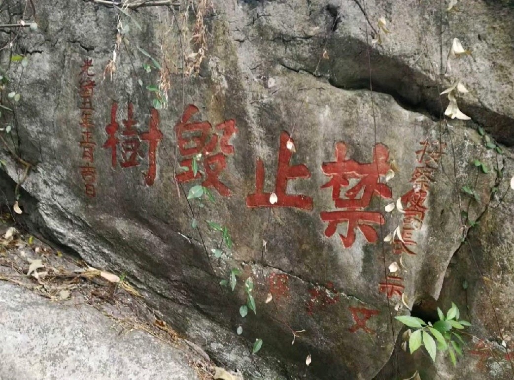 文辞案上挥毫舞墨-宝积山中论古观今∥韦运雪.刘耀华.邓祝仁.唐江.班镇.天鹏.李忠才.陈飞鹏.冯继斌.李昇寿.小草.毛美凤.兴华.生哥.黄金穗.牛在坤.陈小芬等(图15)