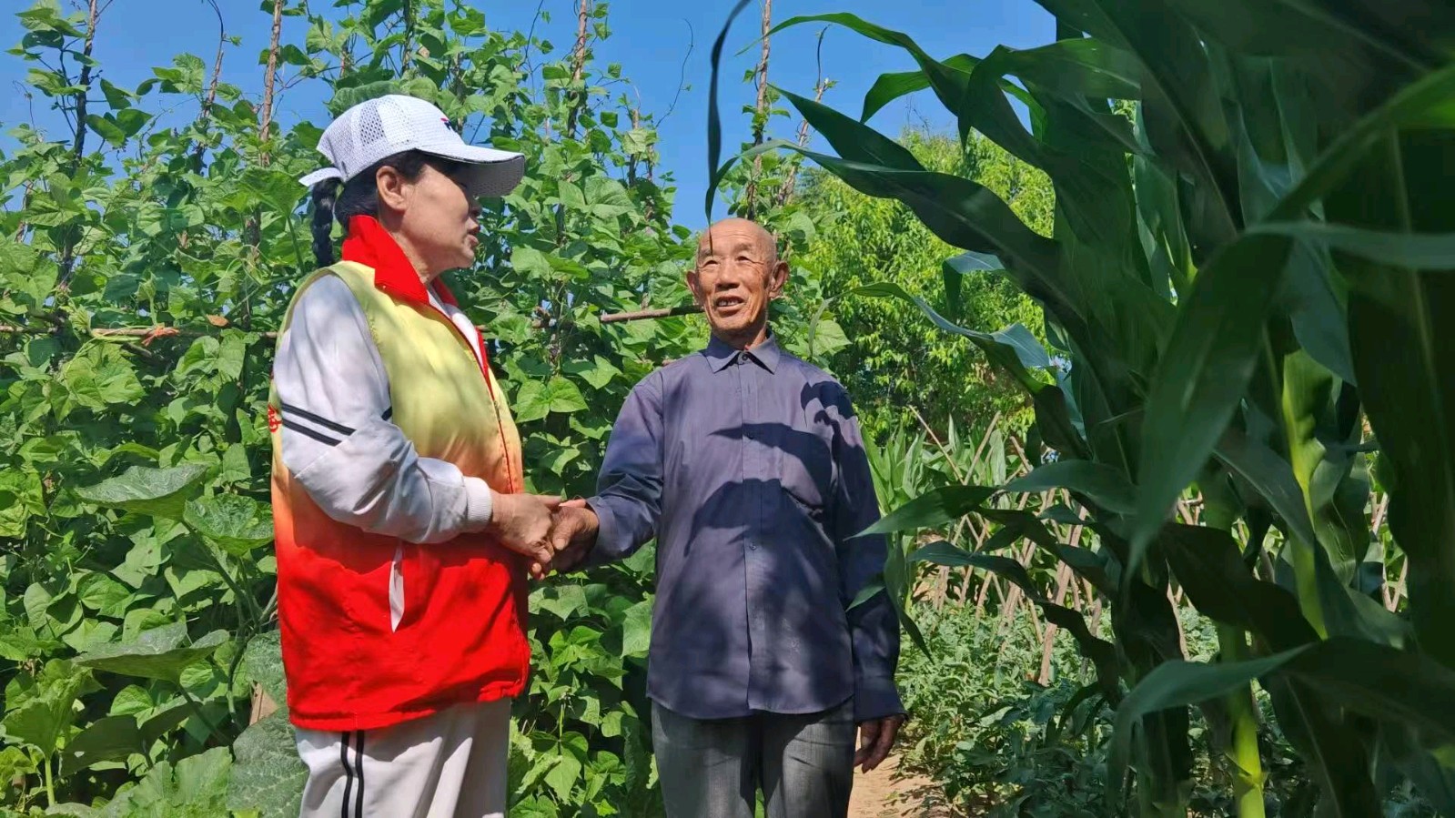 志愿访农户 助农促增收