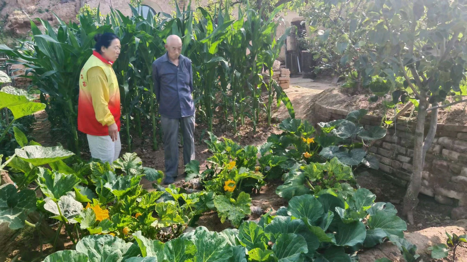 志愿访农户 助农促增收（图2）