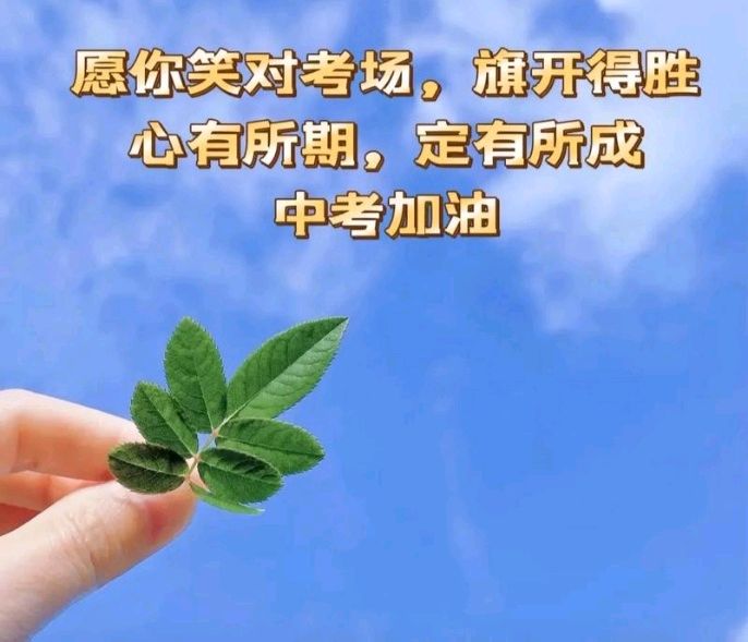 执笔赴山海 中考皆繁花 作者张绍钟(吉林)编辑孙秀兰20260628（图12）