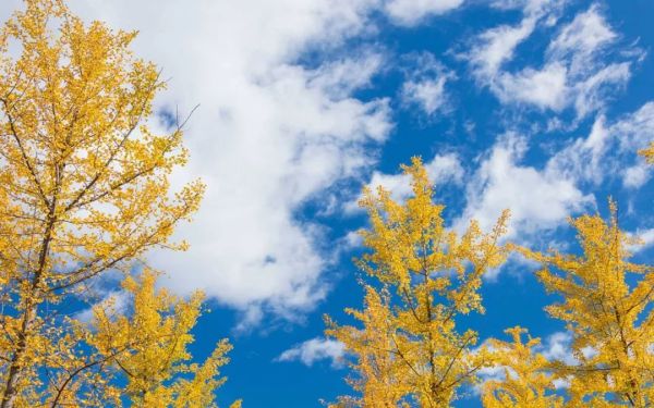 images/2/2021/11/C60d5BT1PRDwnnrmhhM55wtHZs17Os.jpg