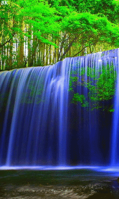 中华诗艺社·江西分社【格律诗词精品鉴赏】都市头条•周刊(第1739期)(图36)
