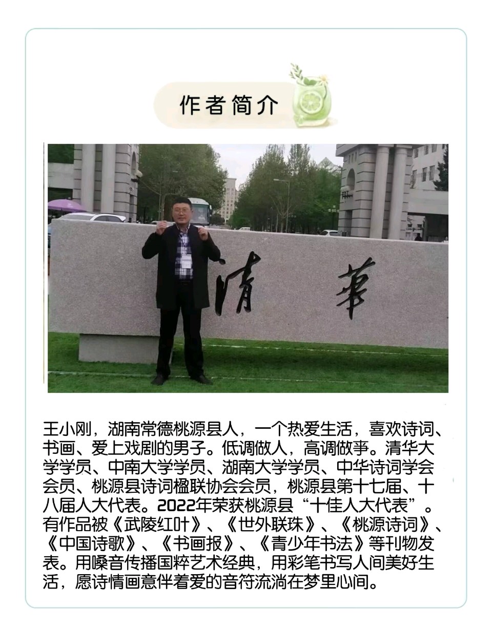 诗人王小刚‖诗词三首（图3）