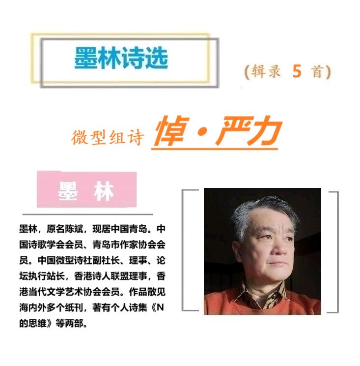 1575墨林微型组诗:悼·严力(图3)
