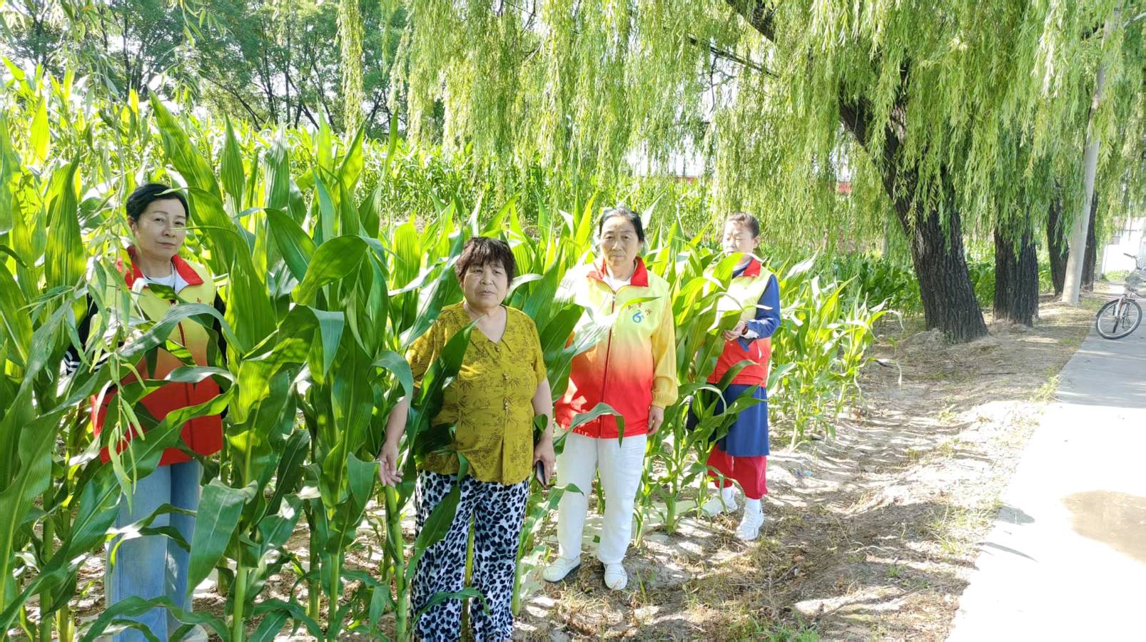 志愿走访种植户 助农服务打基础
