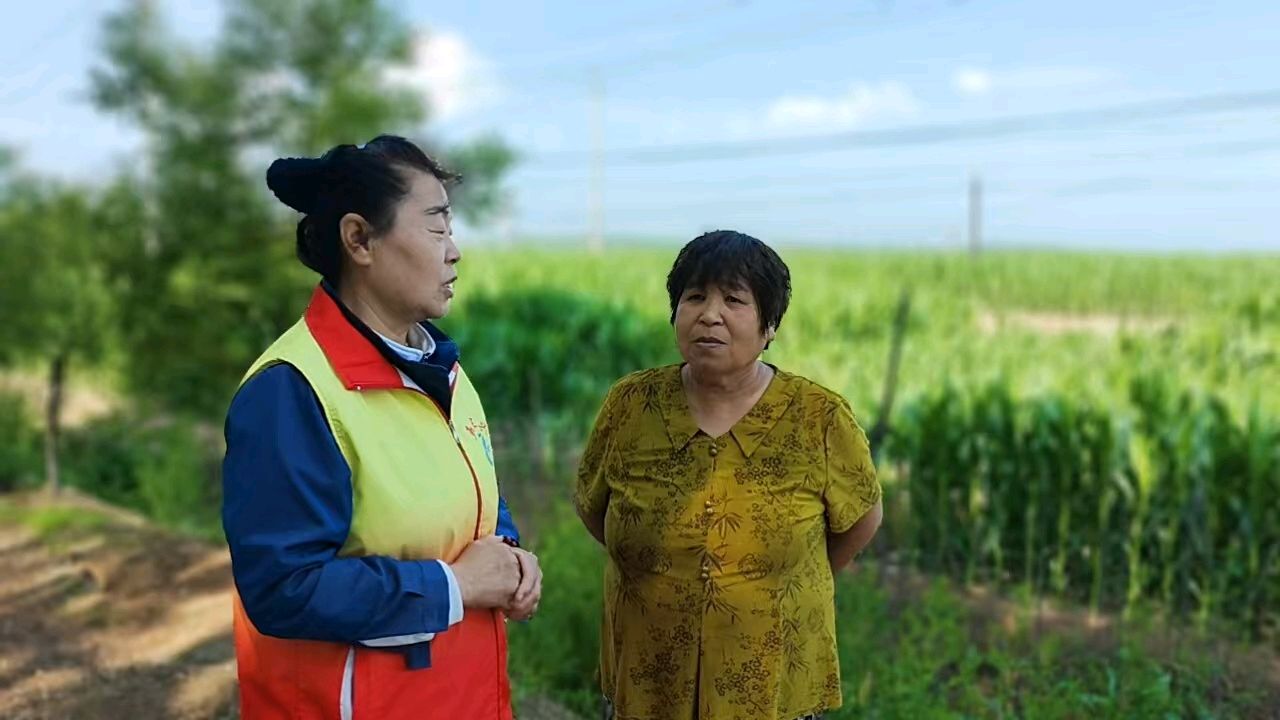 志愿走访种植户 助农服务打基础（图2）