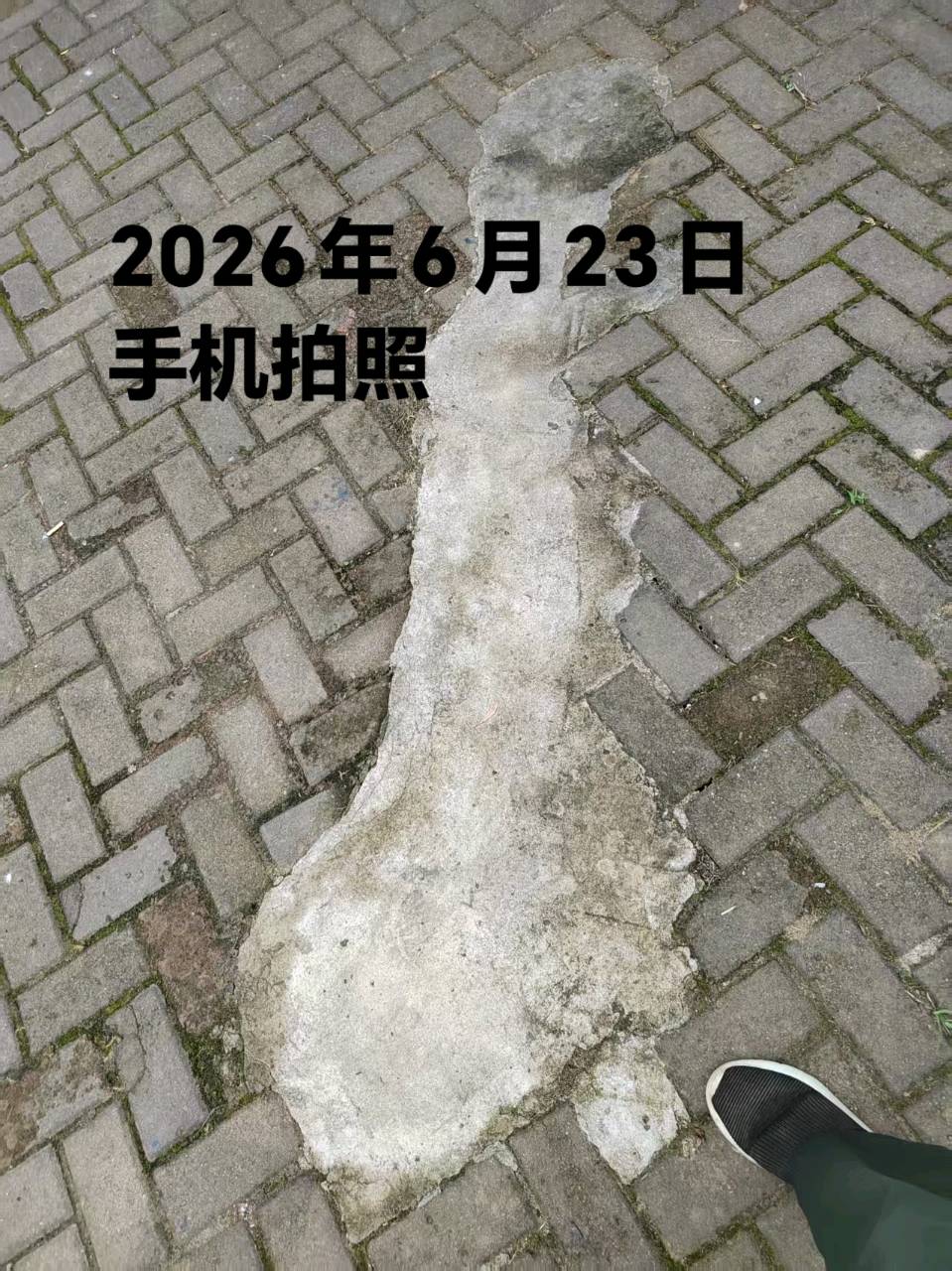 《物业服务不到位》应给业主减免物业费（图28）