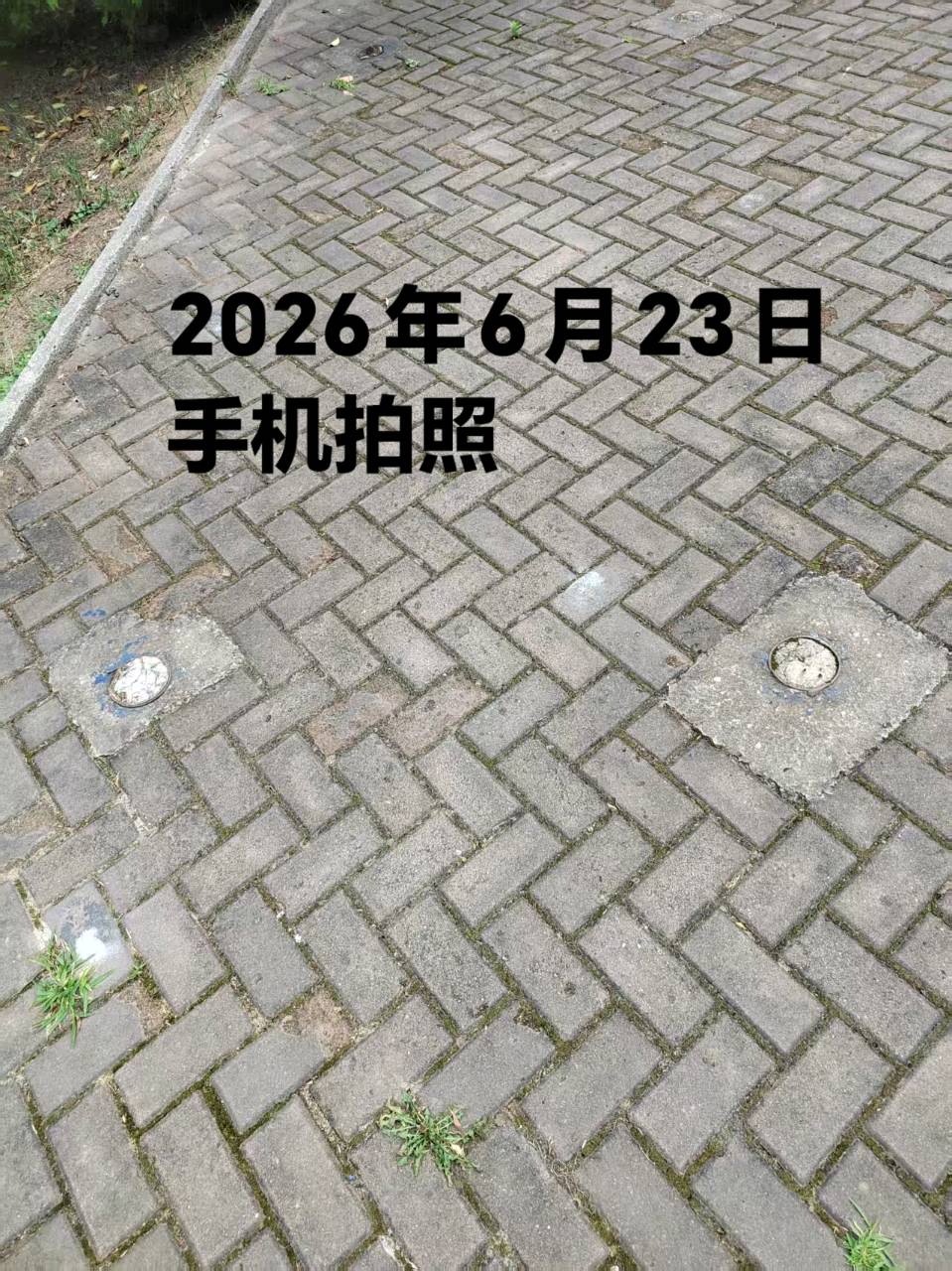 《物业服务不到位》应给业主减免物业费（图29）