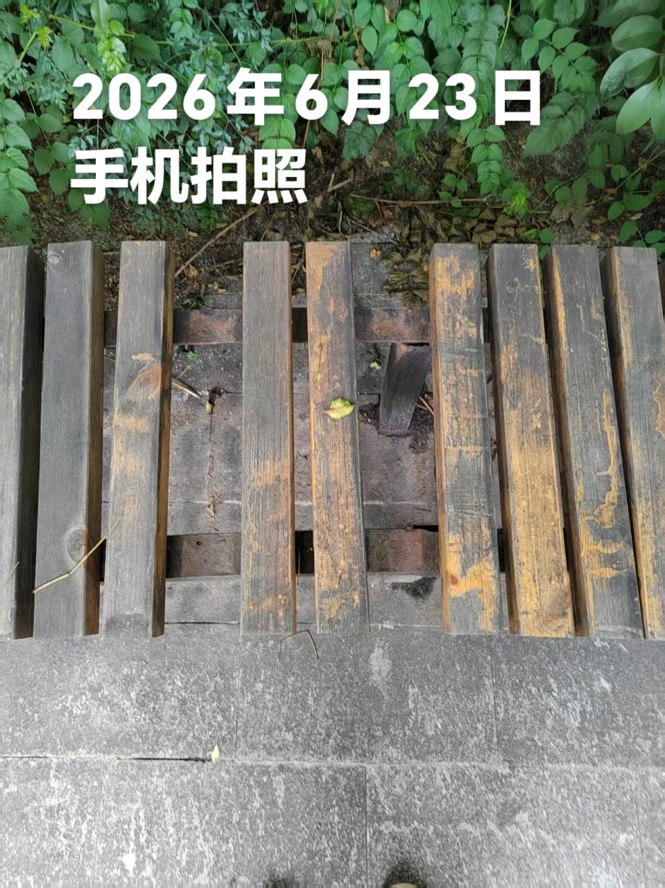 《物业服务不到位》应给业主减免物业费（图31）