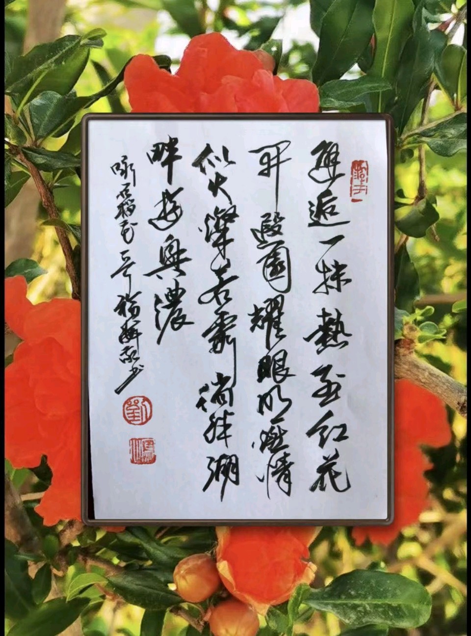 榴花照眼明