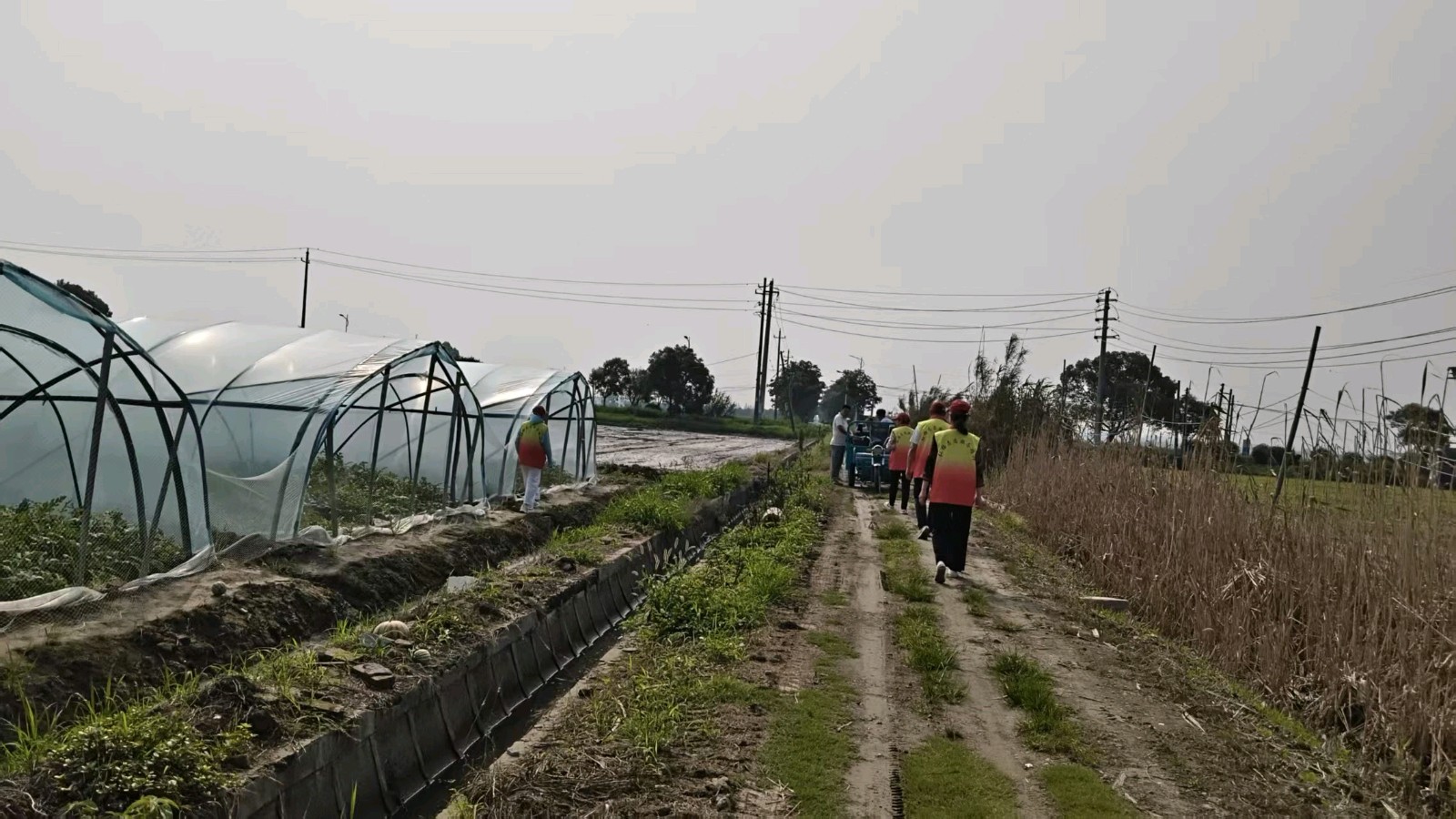 走访西瓜种植户 志愿助农促振兴（图2）