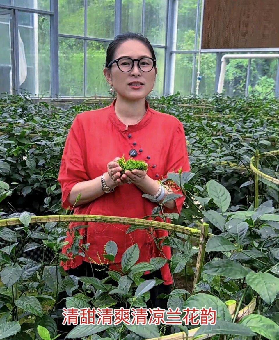 【燕赵文学】散文：秋浦山水藏幽香（安徽/陈耀进）（图4）