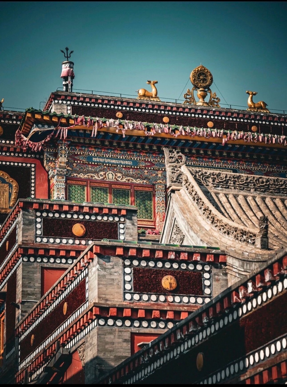 真情永远《塔尔寺：叩拜中的信仰之光》诵读：焱桐（图4）