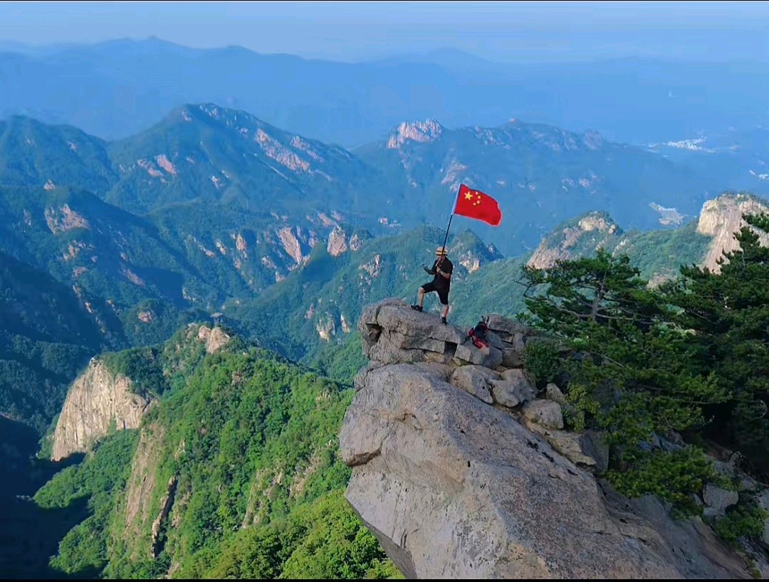 楚子：述怀