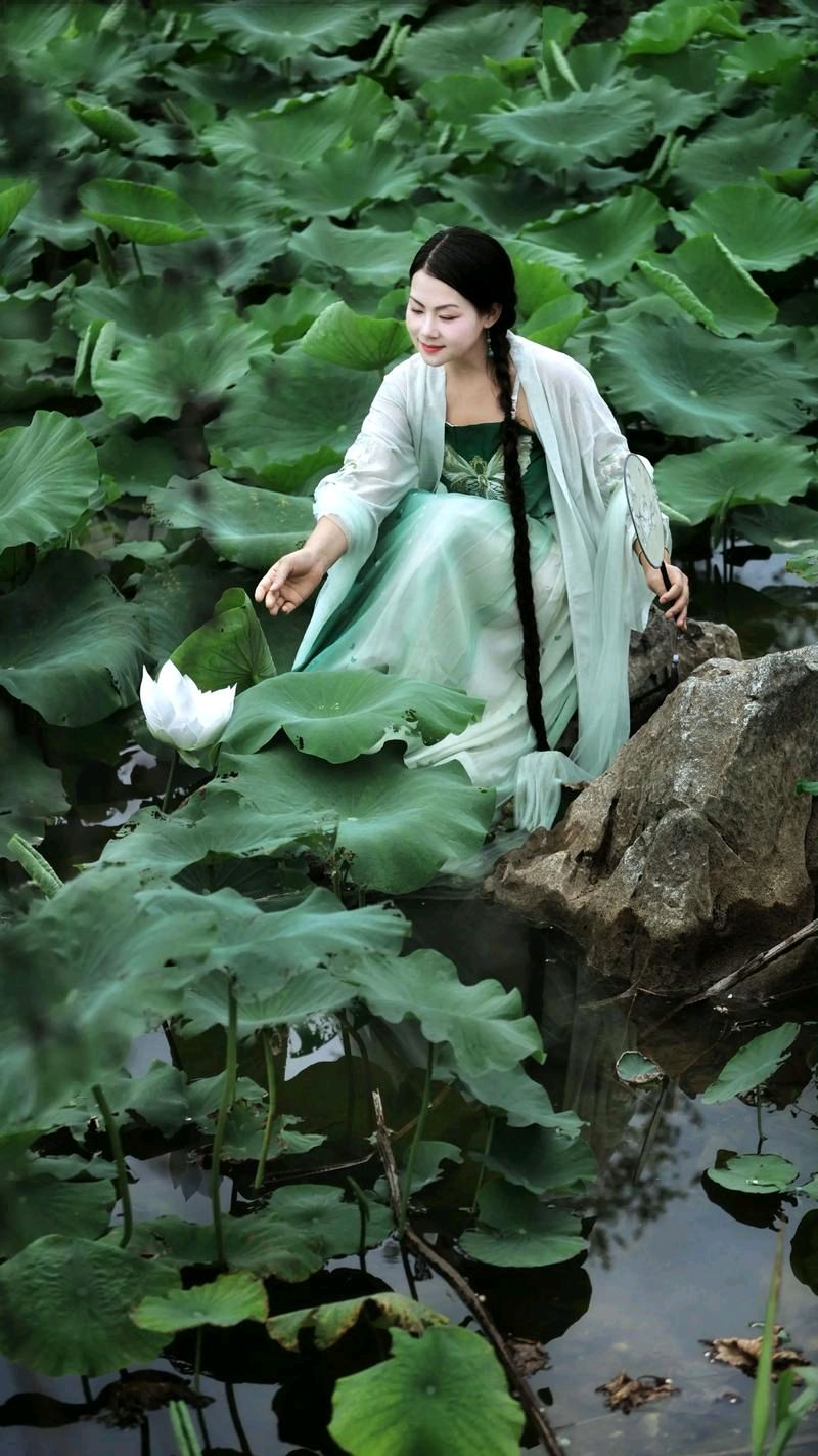 赵虎才～品诗论艺、咏物抒怀【中国楹联野草诗社】第五研修院（第2362期）（图4）