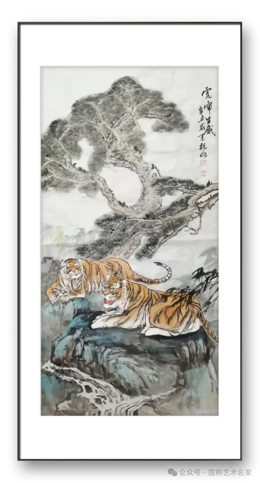图片