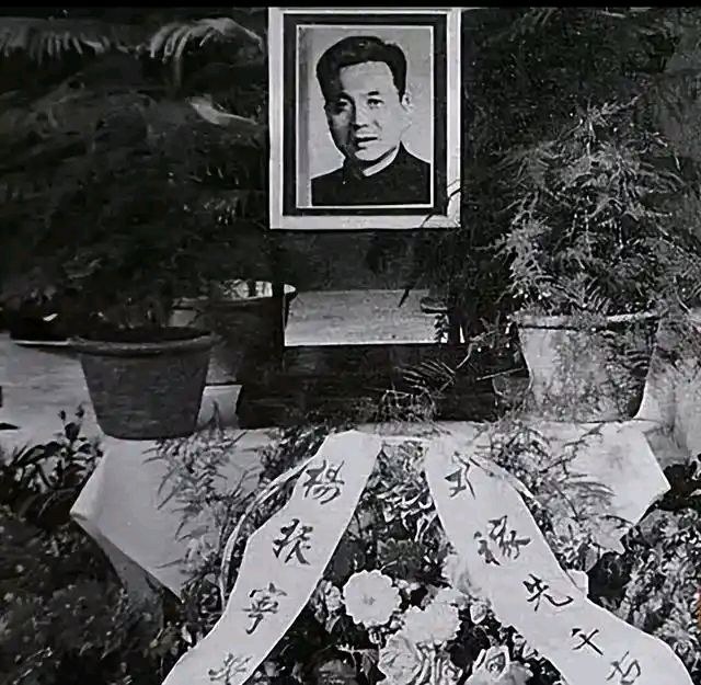 请欣赏合诵《国之脊梁，以身铸盾——致两弹元勋邓稼先》作者朱克智/主播绿萝 安然 田心 渺邈/编辑渺邈【中国长江文学社】有声文学平台【第18740期】（图7）
