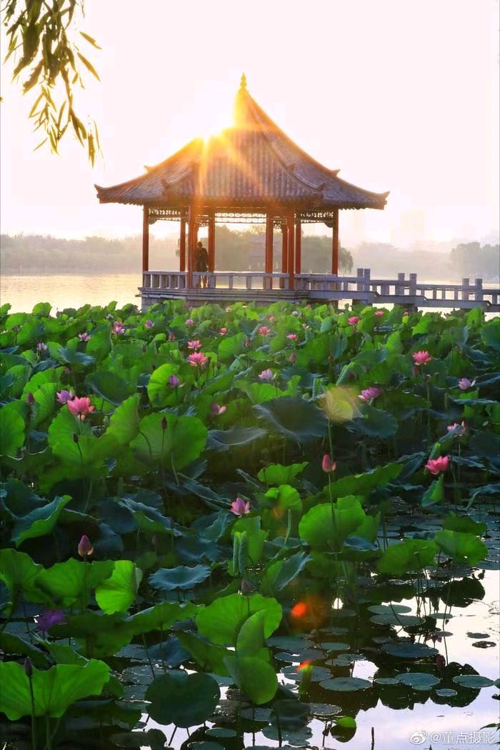 “咏荷花” . “庆七一”[庆祝]（图8）