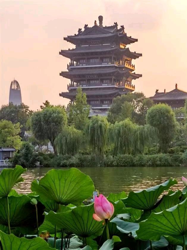 “咏荷花” . “庆七一”[庆祝]（图10）
