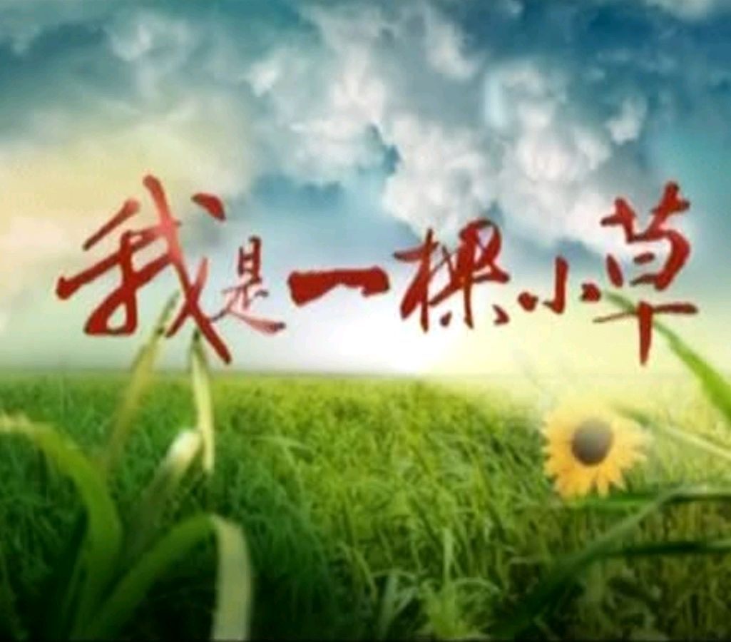 请欣赏《我是一棵小小草》（外二首）作者/邢志坚.主播.编辑/祥云【中国长江文学社】有声文学平台【第18752期】（图3）