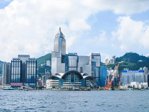 【豆蔻诗社】香港 文/老迟（图4）