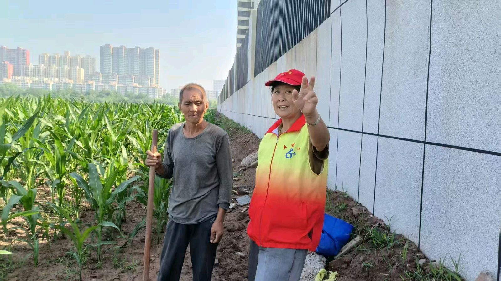 田间走访种植户 了解夏种实情（图3）